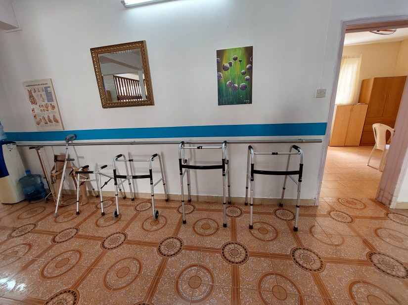 Walking support for physical therapy